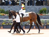 ����å��ǳ��������ɽ�����ޤ�