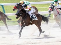 ����å��ǳ��������ɽ�����ޤ�