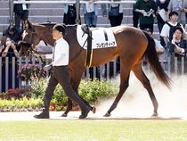 ����å��ǳ��������ɽ�����ޤ�