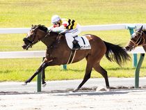 ����å��ǳ��������ɽ�����ޤ�