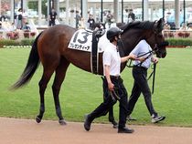 ����å��ǳ��������ɽ�����ޤ�