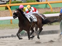 ����å��ǳ��������ɽ�����ޤ�