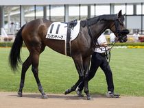 ����å��ǳ��������ɽ�����ޤ�