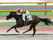 ����å��ǳ��������ɽ�����ޤ�