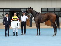 ����å��ǳ��������ɽ�����ޤ�