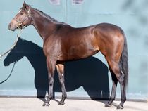 ����å��ǳ��������ɽ�����ޤ�