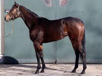 ����å��ǳ��������ɽ�����ޤ�