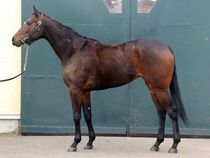 ����å��ǳ��������ɽ�����ޤ�