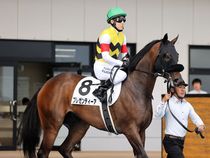 ����å��ǳ��������ɽ�����ޤ�