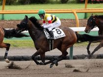 ����å��ǳ��������ɽ�����ޤ�