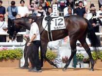 ����å��ǳ��������ɽ�����ޤ�