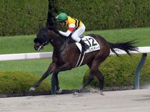 ����å��ǳ��������ɽ�����ޤ�