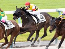 ����å��ǳ��������ɽ�����ޤ�