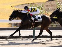 ����å��ǳ��������ɽ�����ޤ�