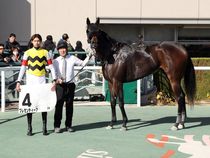 ����å��ǳ��������ɽ�����ޤ�