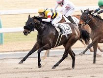 ����å��ǳ��������ɽ�����ޤ�