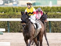 ����å��ǳ��������ɽ�����ޤ�