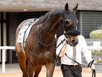 ����å��ǳ��������ɽ�����ޤ�