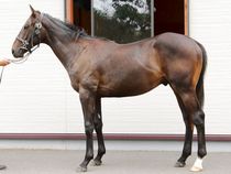 ����å��ǳ��������ɽ�����ޤ�