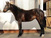 ����å��ǳ��������ɽ�����ޤ�