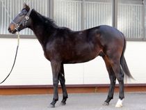 ����å��ǳ��������ɽ�����ޤ�