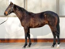 ����å��ǳ��������ɽ�����ޤ�