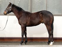 ����å��ǳ��������ɽ�����ޤ�