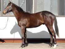 ����å��ǳ��������ɽ�����ޤ�