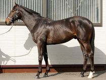 ����å��ǳ��������ɽ�����ޤ�