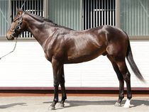 ����å��ǳ��������ɽ�����ޤ�