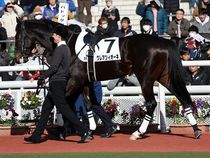 ����å��ǳ��������ɽ�����ޤ�