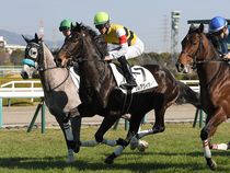 ����å��ǳ��������ɽ�����ޤ�