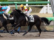 ����å��ǳ��������ɽ�����ޤ�