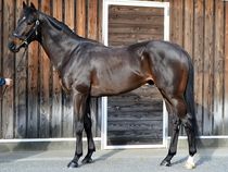 ����å��ǳ��������ɽ�����ޤ�