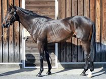 ����å��ǳ��������ɽ�����ޤ�