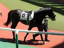 ����å��ǳ��������ɽ�����ޤ�