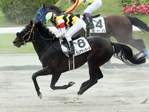 ����å��ǳ��������ɽ�����ޤ�