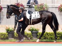 ����å��ǳ��������ɽ�����ޤ�