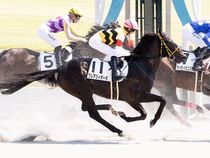 ����å��ǳ��������ɽ�����ޤ�