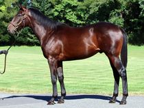 ����å��ǳ��������ɽ�����ޤ�