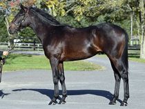 ����å��ǳ��������ɽ�����ޤ�