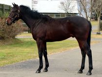 ����å��ǳ��������ɽ�����ޤ�