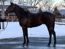 ����å��ǳ��������ɽ�����ޤ�