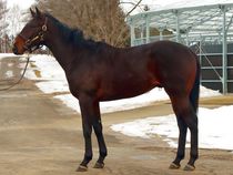 ����å��ǳ��������ɽ�����ޤ�