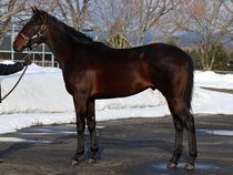 ����å��ǳ��������ɽ�����ޤ�