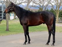 ����å��ǳ��������ɽ�����ޤ�