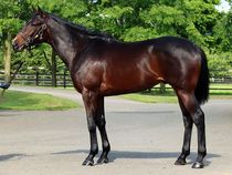 ����å��ǳ��������ɽ�����ޤ�