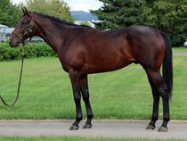 ����å��ǳ��������ɽ�����ޤ�