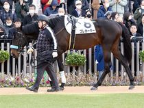 ����å��ǳ��������ɽ�����ޤ�