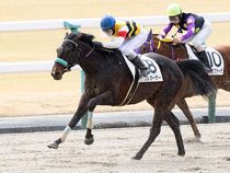 ����å��ǳ��������ɽ�����ޤ�